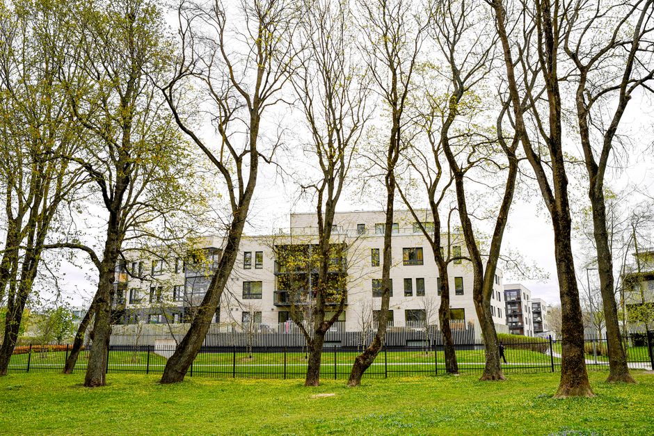 Looking upward between narrow, multi-storey residential buildings inside a limited-access flat complex on Hither Green estate, showing white facades with a few small windows and black metal balcony railings on one side. The photo captures the open sky with scattered white clouds above, indicating daylight. The scene depicts a typical urban environment where moving companies like Man with Van Hither Green often operate, assisting with home relocation and furniture transport. This perspective highlights the confined space around the buildings, which may require careful planning for packing and loading during a moving service, especially in tight courtyards or shared access areas. The arrangement of the buildings suggests the need for precise logistics when delivering packing materials, boxes, and loaded trolleys or carts to facilitate the loading process for house removals from such structures, ensuring safe transport of belongings from inside the flats to waiting vans.