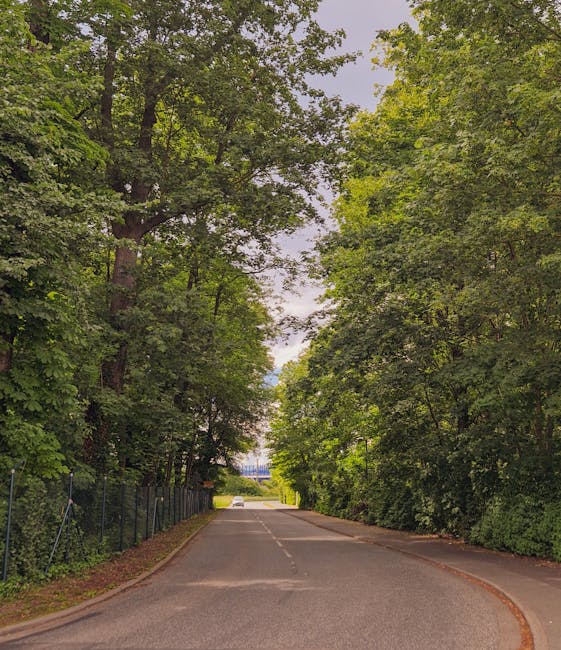 A quiet residential street in Hither Green with tall, leafy trees lining both sides of the road, creating a canopy overhead. The road is paved with asphalt, featuring a central dashed line, and is bordered by a metal fence on the left side, behind which dense green foliage is visible. In the background, a white van is partially seen parked along the curb, likely part of a home relocation or furniture transport process. The scene is well-lit with natural daylight, and the environment suggests a peaceful neighbourhood suitable for residential removals as provided by [COMPANY_NAME], focusing on packing, loading, and moving services in the Hither Green area.